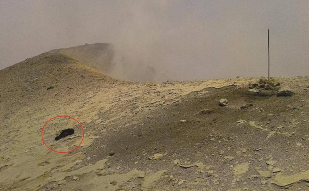 3 Figura 4: En color negro, un ave en el borde del cráter Noroeste y cerca del boquete 2010, la cual murió por asfixia debido a la alta concentración de los gases volcánicos. Fotografía Gino González.