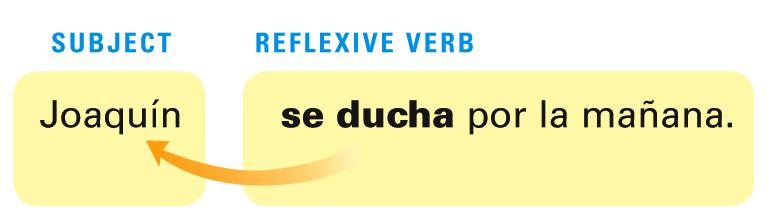 A reflexive verb is used to indicate that the subject does something to or for himself or herself.