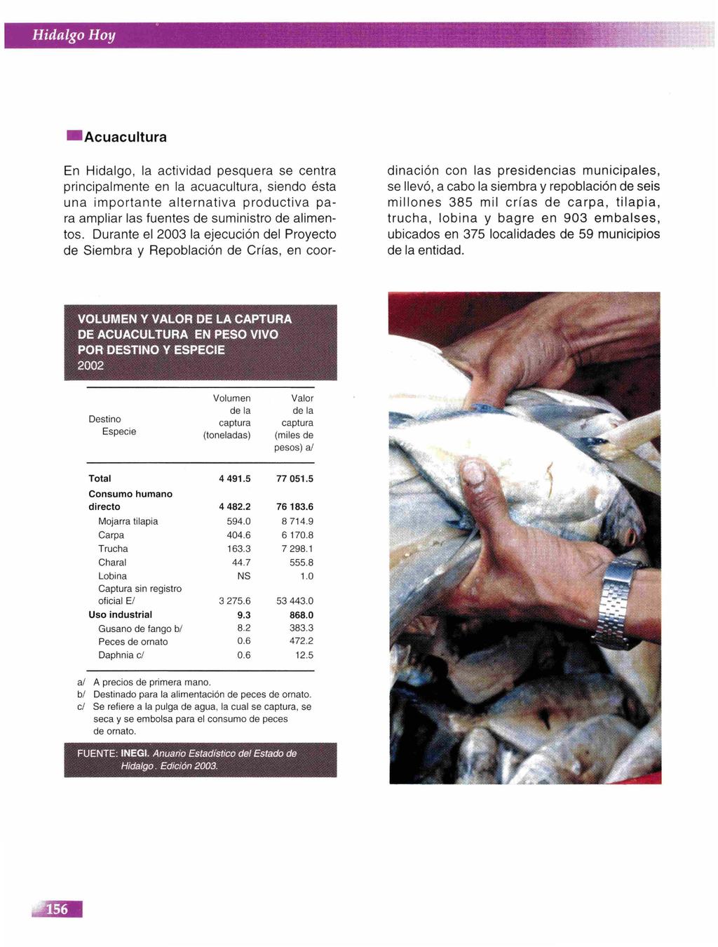 Acuacultura En Hidalgo, la actividad pesquera se centra principalmente en la acuacultura, siendo ésta una importante alternativa productiva para ampliar las fuentes de suministro de alimentos.