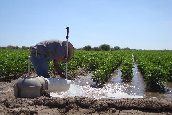Problemática del agua en el Sector Además de la disponibilidad de agua que se encuentra a la baja, otros problemas que enfrenta el sector agrícola son: