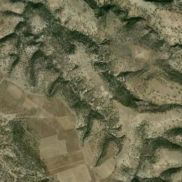 Bosque y ganadería Esta cuenca abastece 17,800 ha de riego.