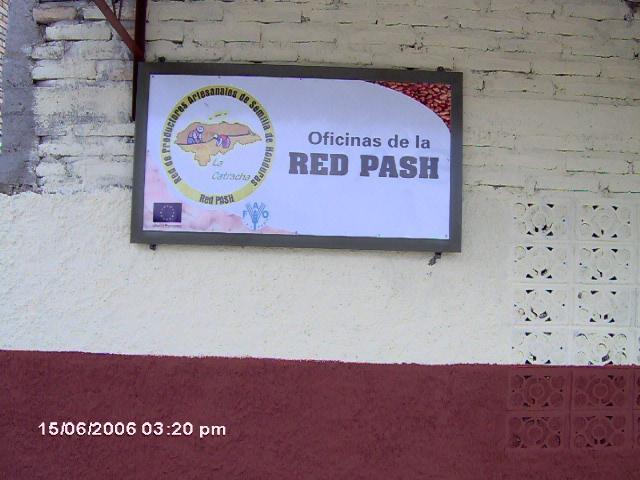 Qué es la RED-PASH La RED-PASH es una organización sin fines de lucro.