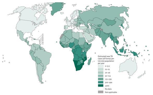 La Carga Mundial de TB, 2014 Número estimado de casos Número estimado de muertes TB, todas las formas 9.6 millones 133 por 100,000 1 millón de niños 3.2 millones de mujeres 5.4 millones de hombres 1.