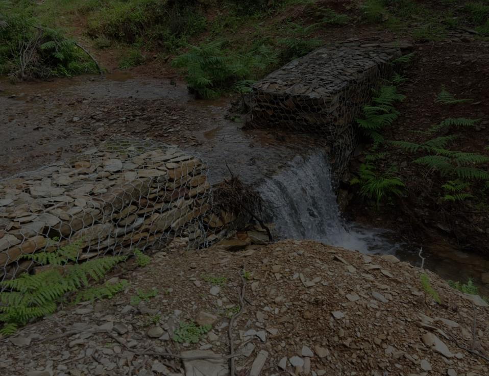 Trabajos de Restauración Hidrológico Forestal TRABAJOS Tratamiento de la vegetación Construcción de fajinas (retención de la erosión) Subsolado
