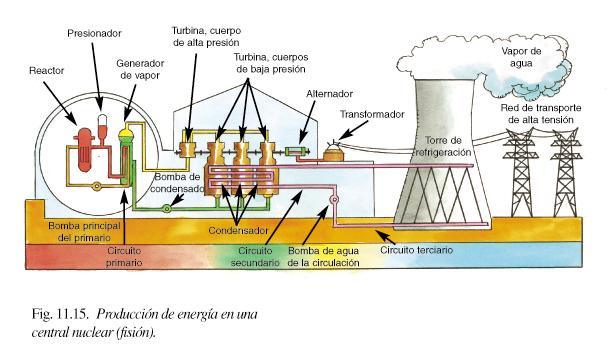 Usos da enerxia nuclear: Producción de electricidade. CTM. 2º Bac.