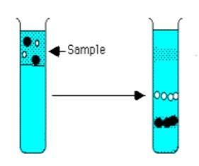 Centrifugación Zonal CENTRIFUGACIÓN EN GRADIENTE Centrifugación Isopícnica Gradiente de sacarosa preformado Se siembra la muestra