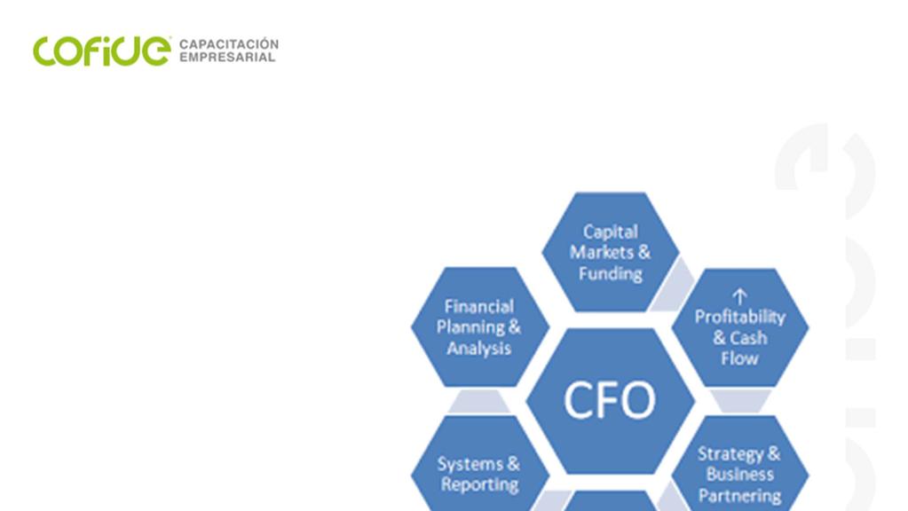 CFO FUNCTIONS 1.