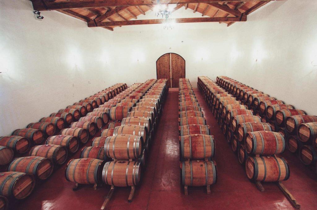 BODEGAS PALACIO DE AZCONA Bodegas Palacio de Azcona nos ofrece 3 magníficas visitas Visita a la bodega y viñedos con cata y degustación artesanal de Tierras de Iranzu (6.