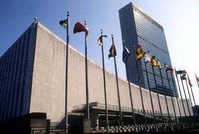 Módulo Dos. de los países afroasiáticos y en la defensa de los derechos humanos confiando esta labor a organismos especializados dentro de la organización. Edificio de la ONU en Nueva York 2.1.