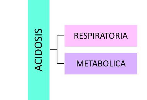 Acidosis Es una condición caracterizada por un exceso de acido en los líquidos del cuerpo.