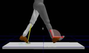 Movimiento articular de las extremidades inferiores durante la marcha para constatar si el calzado altera el patrón normal.