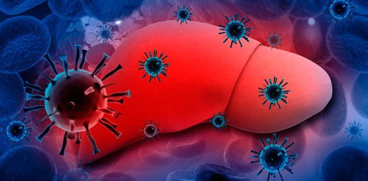 1. HEPATITIS AUTOINMUNE Clínica de hepatitis aguda o crónica, hasta fallo hepático.