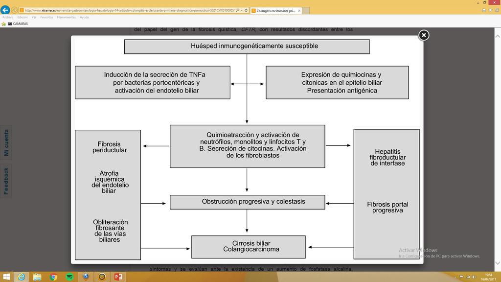 Patogenia de la colangitis esclerosante primaria (adaptado de Vierling et al). J.M.
