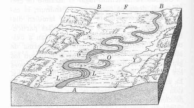 Formas erosivas y sedimentarias en la llanura de inundación M A.