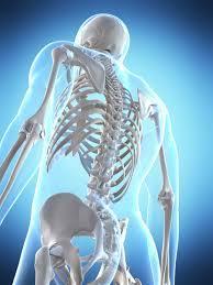 INTRODUCCIÓN La Osteoporosis, que literalmente significa hueso poroso, es una enfermedad que produce la progresiva pérdida de masa ósea y el deterioro del esqueleto generando huesos frágiles y más
