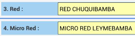 RECUADRO 3 y 4 : Red y Micro Red Digite el nombre de la Red y Micro Red a la que pertenece el Establecimiento de Salud.