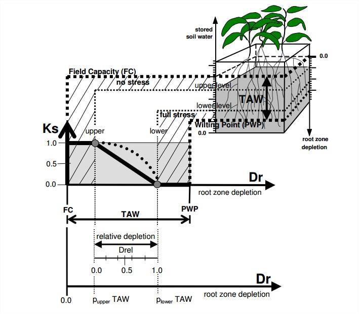 2. Estructura y aplicaciones de AquaCrop Efectos de estreses abióticos Hídrico Térmico Nutricional Salinidad Desarrollo