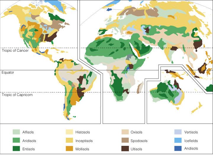 Distribución mundial de los 11 órdenes principales de suelos.