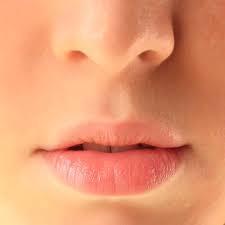 Partes de los labios Labio superior Surco