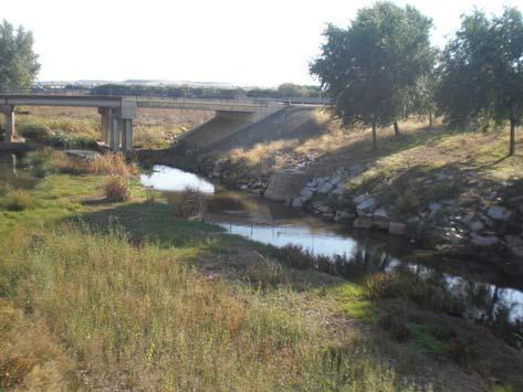 b) Objetivos del Estudio 1. ANTECEDENTES Análisis y selección de los indicadores más representativos del grado de conservación-deterioro de los ríos de la cuenca del Guadiana en Extremadura.