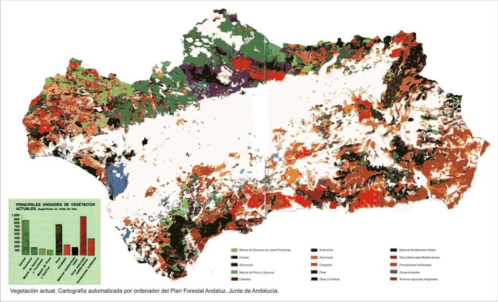 Caso práctico: Bosque Depuradora en el contexto de la conversión de la EDAR de Aguadulce en SCI Análisis del medio natural Aguadulce: La vegetación potencial climácica corresponde en su comunidad