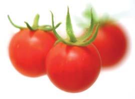 Una de los variantes que más éxito ha tenido en los últimos años entre los consumidores ha sido el tomate cherry o cereza, llamado así por su tamaño y forma redonda.