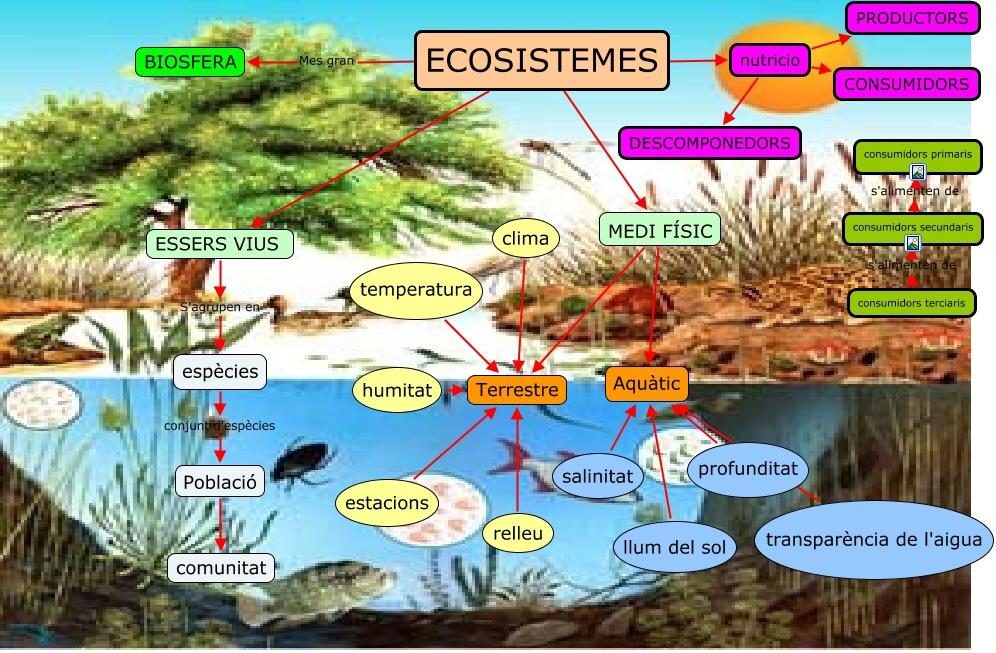 ecosistemes molt diversos, tant de costa com d'interior.