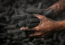 Evolución del Carbón Vegetal Utilizado en el Sector Residencial y comercial. Representa actualmente 0.