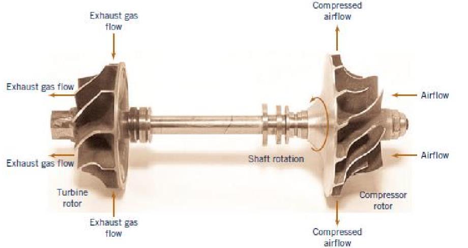 Las bombas y maquinaria proporcionan energía a los fluidos, realizando trabajo para hacerlos fluir y aumentar la presión. Por su parte, las turbinas extraen energía del fluido.