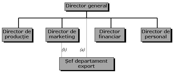 Structura organizatorică cu un departament de export Aceasta este prima formă de organizare care reflectă o activitate internaţională.