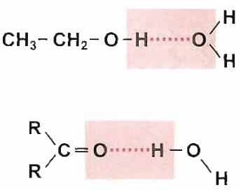 Compuestos polares no iónicos Con alcoholes, aldehídos o cetonas el agua puede formar enlaces de hidrógeno con los grupos