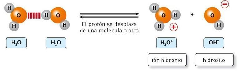 Concepto de ph El ph de una disolución es una medida de la concentración de los protones.