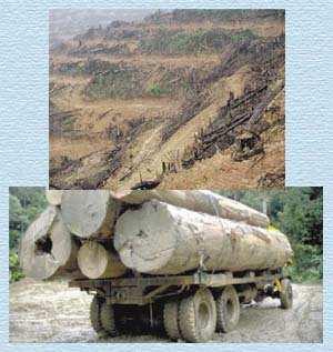FACTORES DE LAS INUNDACIONES Antrópicos: Deforestación. Prácticas de cultivo erróneas. Obras públicas mal diseñadas.