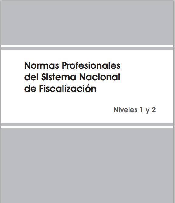IV Reunión, 21 de noviembre de 2013 Presentación y aprobación del libro Normas Profesionales del Sistema Nacional de Fiscalización, Niveles 1 y 2 Contiene líneas básicas de fiscalización en México