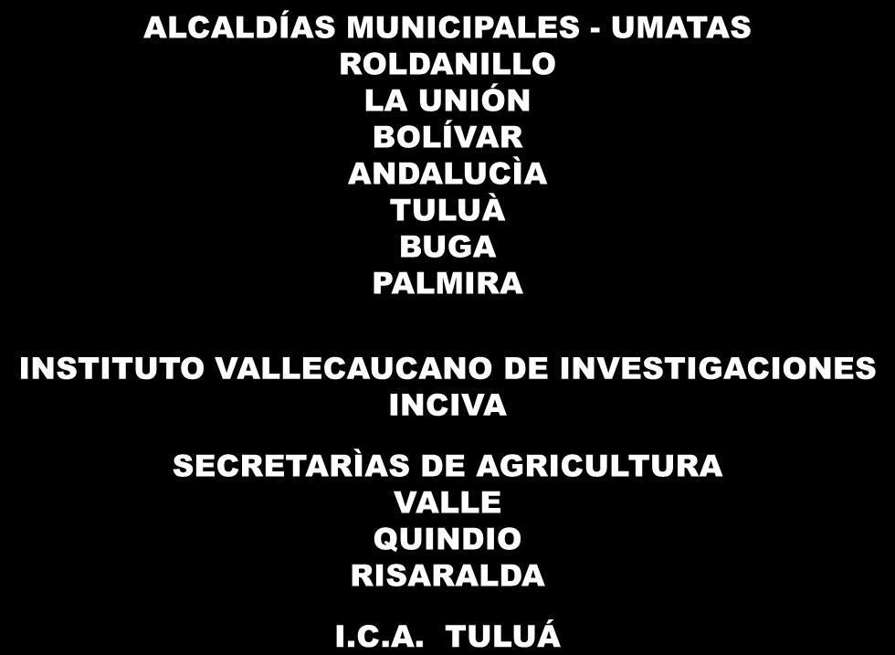INSTITUCIONES ESTATALES ALCALDÍAS MUNICIPALES - UMATAS ROLDANILLO