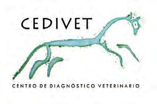 Lo extraordinario de Cedivet: su equipo humano CEDIVET cuenta con un equipo técnico de inmejorable nivel profesional.