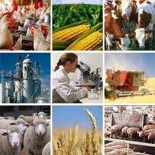 Programas Nacionales de Agricultura y