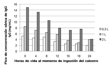 Figura 2. Relación entre horario después del nacimiento y volumen en que es consumido el calostro y concentración sérica de IgG (mg/ml). (Adaptado de Stott et al., 1979).