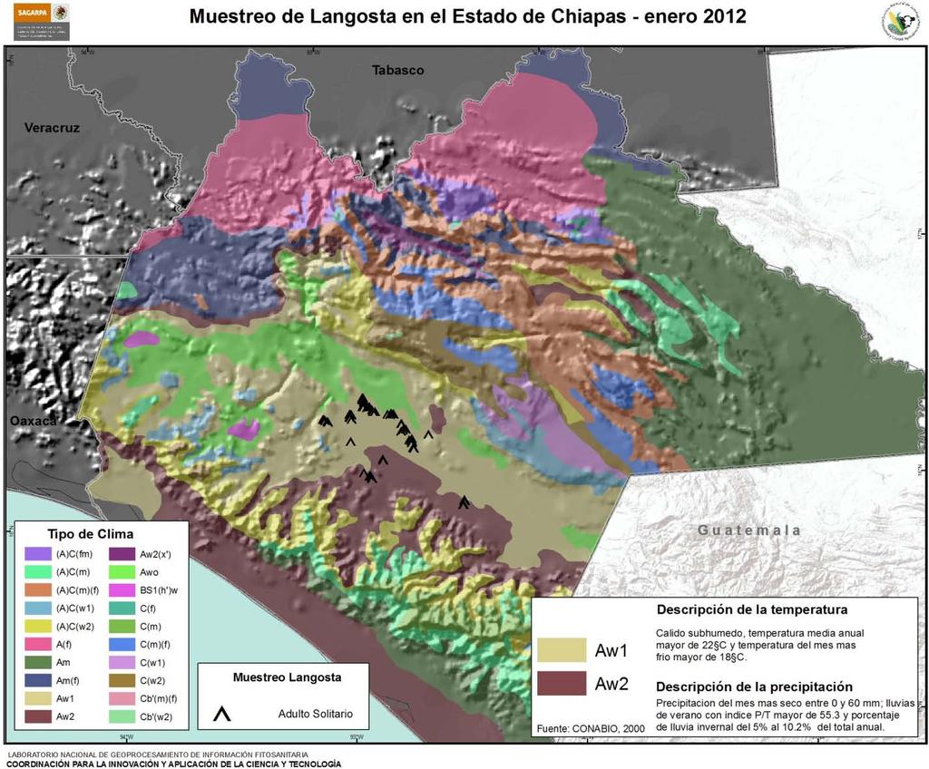 Figura 9. Climas en las áreas con presencia de langosta en el Estado de Chiapas. 4.