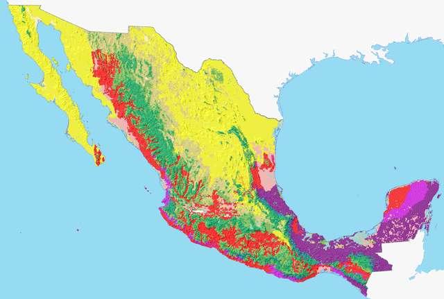 Land use and vegetation Dynamic Map of Changes: