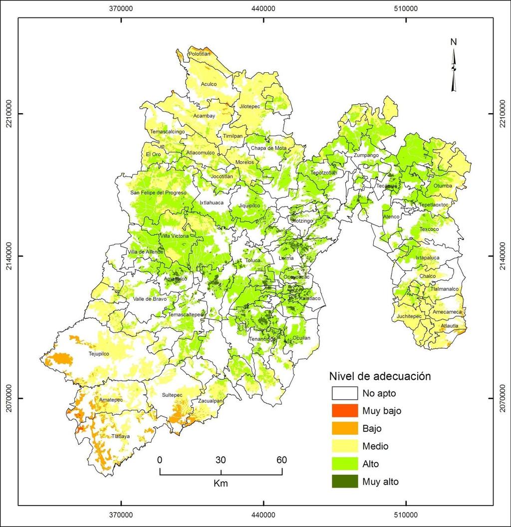 Resultados Mapas de adecuación óptima por plantación forestal (1993-2000) Tipo de Plantación Nivel de adecuación Comercial Hectáreas disponibles Restauración y