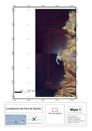 4.7 Zona 7: Punta Gorda - Piedra de Guayedra (ZAA-7). Gran Canaria. (Taxón Año 2002).