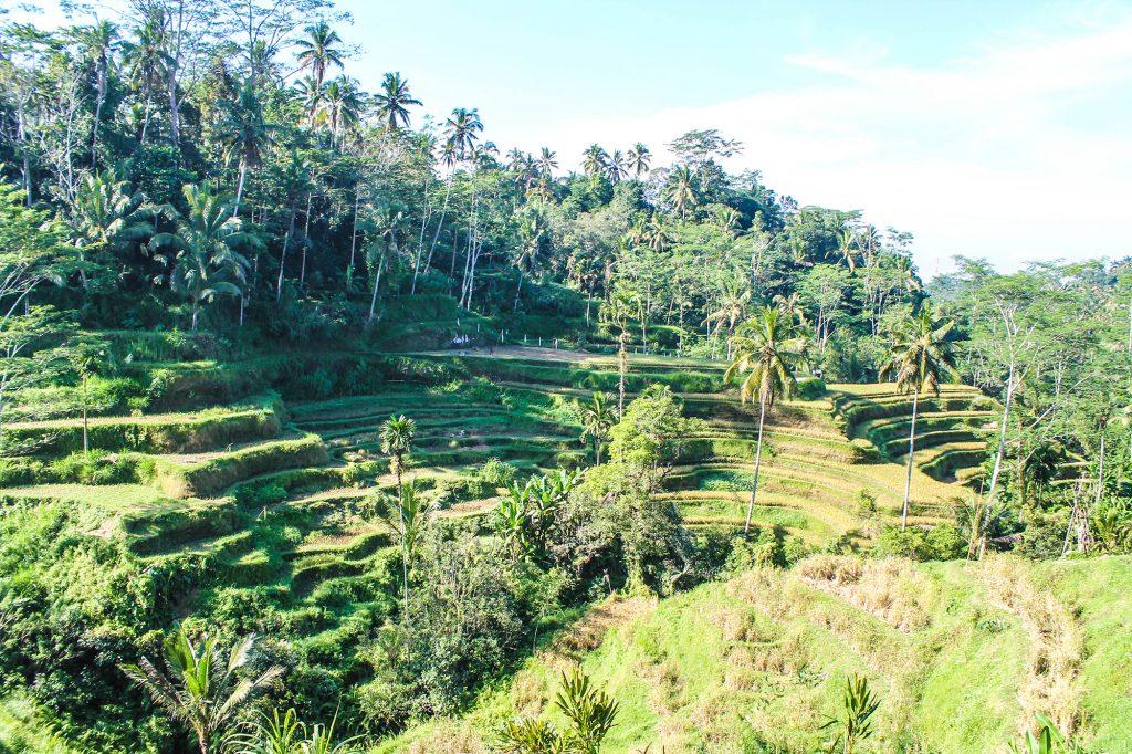 Nuestro siguiente punto fue la isla de Lombok donde vivimos una auténtica aventura con mayúsculas.