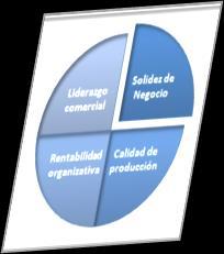 Identificación de exigencias organizativas Se toma como referencia estrategia, valores y cultura, para establecer los resultados a conseguir o reforzar con el programa de sinergia.