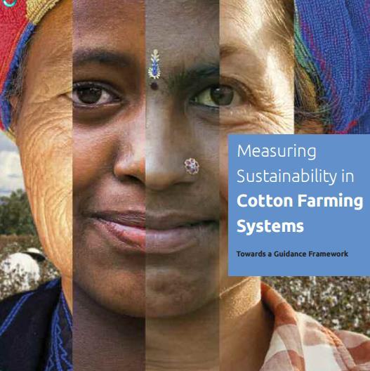 SOSTENIBILIDAD - Reporte Final: Medición de la sostenibilidad en sistemas de cultivo del algodón: Hacia un marco referencial.
