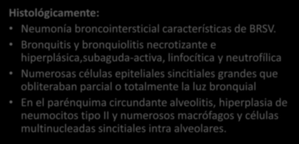 Histológicamente: Neumonía broncointersticial características de BRSV.