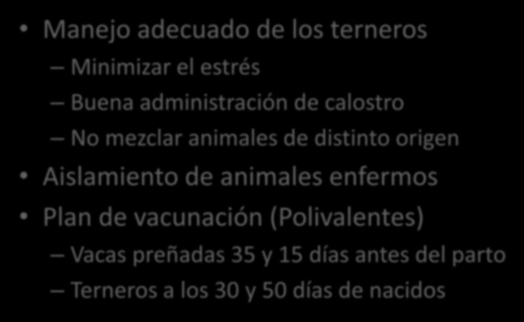 PREVENCION Manejo adecuado de los terneros Minimizar el estrés Buena administración de calostro No mezclar animales de distinto origen Aislamiento de animales