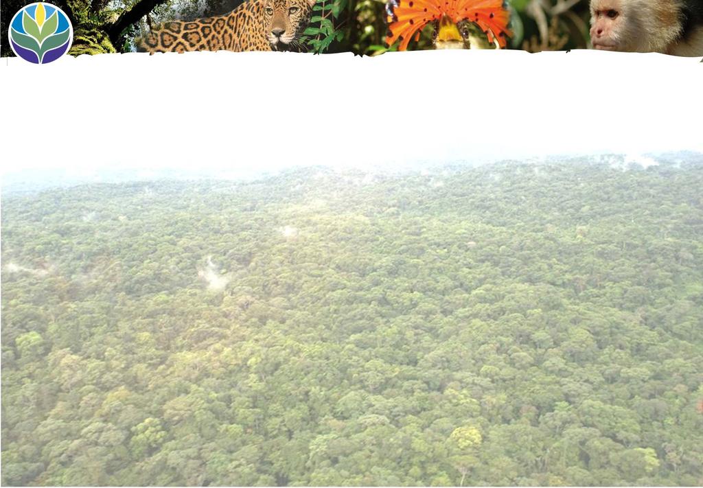Biodiversidad de Panamá Especies 12.097 22 115 Fauna 1.653 Flora 10.444 (Correa et al.