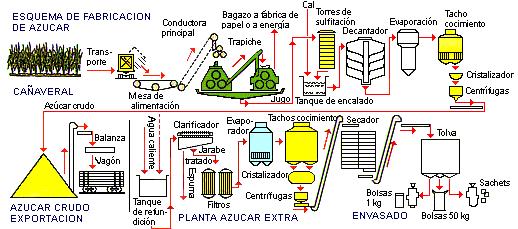 Informe Sectorial Nº 3 Azúcar Octubre 2010 Comparación de la Producción en Tucumán Año Millones de Toneladas) Variacion Porcentual 2005 1.267 0 2006 1.525 20,6 % 2007 1.279-16,3 % 2008 1.