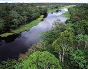Lunes 17 y martes 18 de noviembre, CEPAL La Reserva Juma, en el Amazonas El proyecto de la Reserva Juma, una de las 34 unidades de conservación bajo la responsabilidad de FAS - Fundación Amazonas